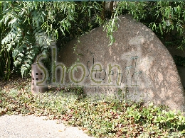 NbNŊgł܂